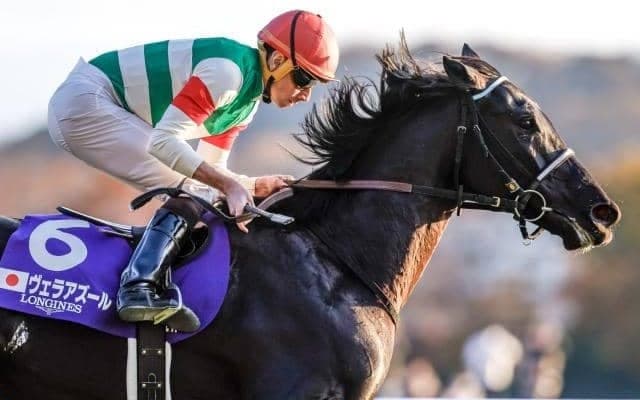 【京都大賞典想定馬・騎手】ヴェラアズール、ディープボンドなど15頭