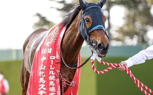 【凱旋門賞】スルーセブンシーズの調教状況 29日は坂路を軽めのキャンターで調整
