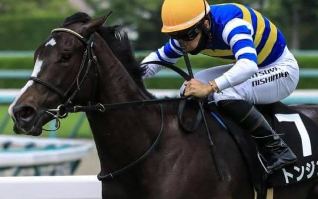 【土曜阪神6R予想】兄はかしわ記念覇者 初ダートでも期待十分