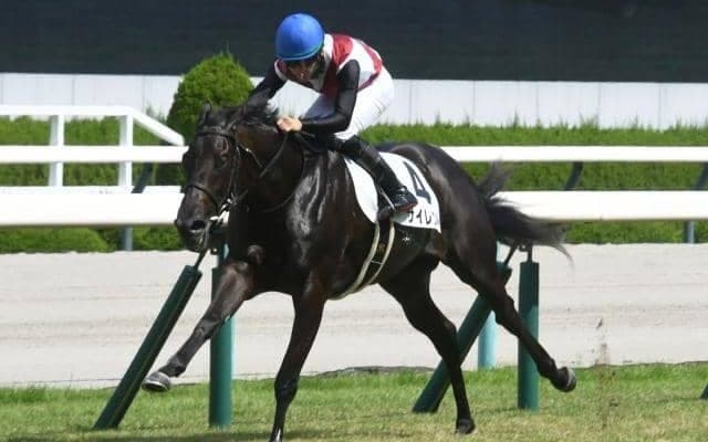 【阪神5R新馬戦結果】エピファネイア産駒のサイレントが逃げ切りV！