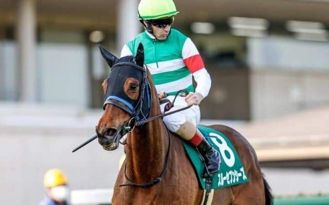 【凱旋門賞】スルーセブンシーズは7番人気タイの13倍 海外ブックメーカーオッズ