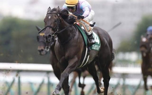 【スプリンターズS前日オッズ】ナムラクレアが3.3倍で1番人気