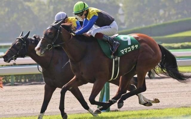 中山芝は内＆前有利 ママコチャ＆川田騎手が軸だ
