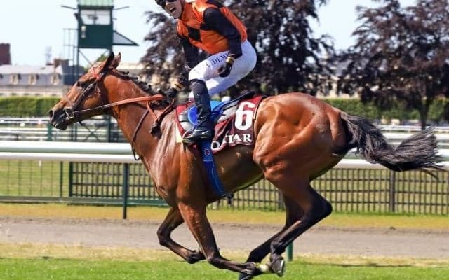 無敗の仏ダービー馬が凱旋門賞10年ぶりの快挙へ 名伯楽が送り込む最強馬候補