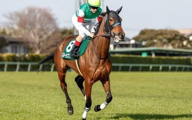 【凱旋門賞】スルーセブンシーズが最終調整 尾関師「順調にここまで来ております」 