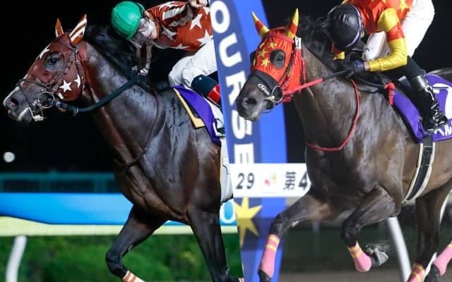 三冠馬2頭が夢の対決 今年で最後のダービーグランプリ
