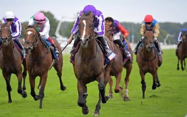 ハーツクライ産駒のクラシックホースが凱旋門賞参戦 日本に吉報届ける勝利なるか