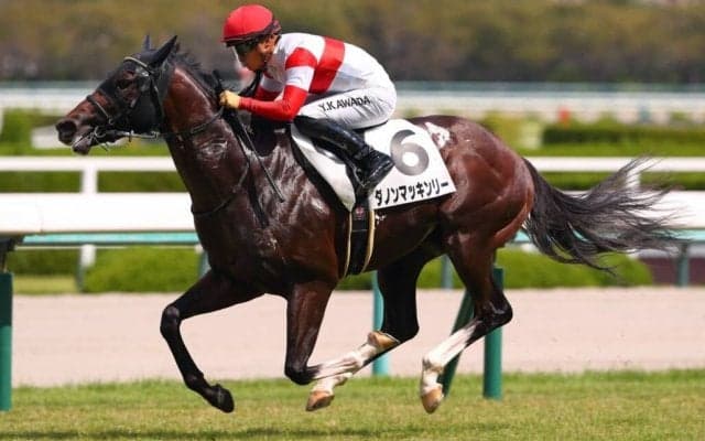 【新馬/阪神4R】2億円ホース、ダノンマッキンリーがデビュー戦を完勝