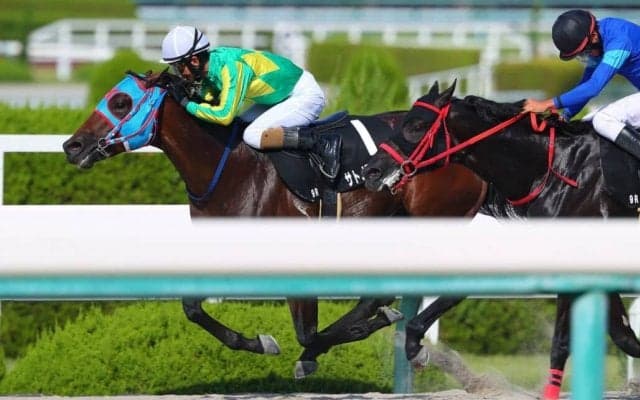 【ヤマボウシ賞】サトノフェニックスがデビュー2連勝