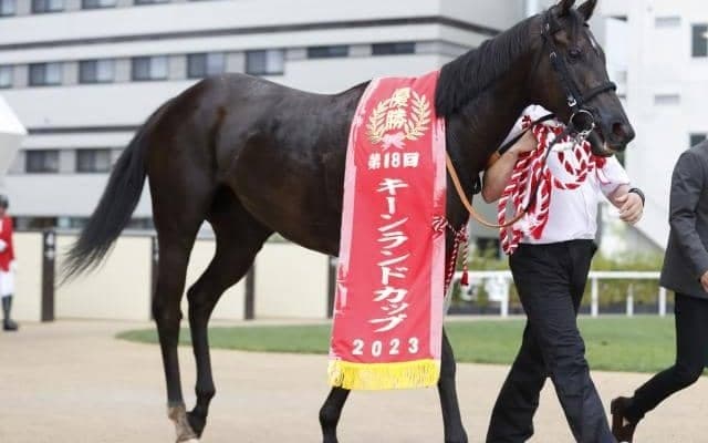 【スプリンターズS】3連系には9番人気以降の人気薄必須？ 狙える枠と、沈む1番人気馬のパターンとは？