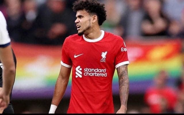 ルイス・ディアスのゴール取り消しは「重大な人為的ミス」…審判協会が誤審認める