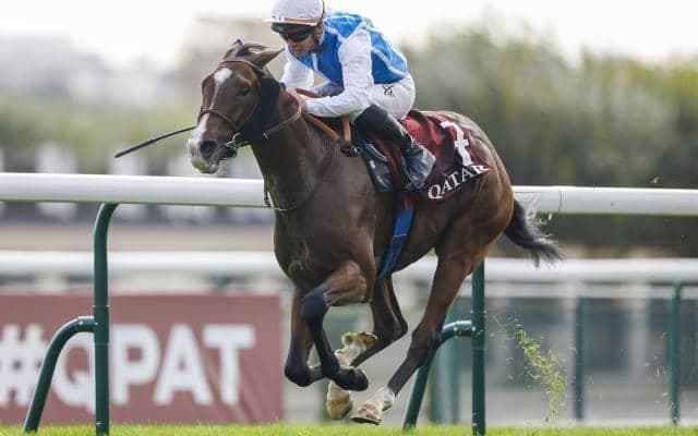 ダイワメジャー産駒が3000m重賞制す 凱旋門賞の前日に日本血統が躍動/仏G2・ショードネイ賞