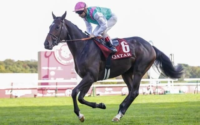 ルメール騎手が凱旋門賞前日に仏G2騎乗 10頭立ての6着