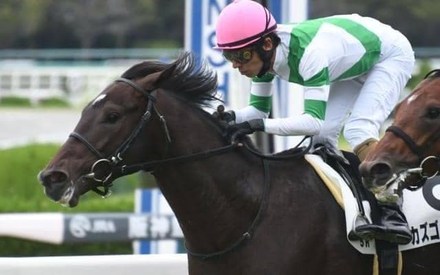 【阪神5R新馬戦結果】アルアイン産駒のカズゴルティスが逃げ切りV!