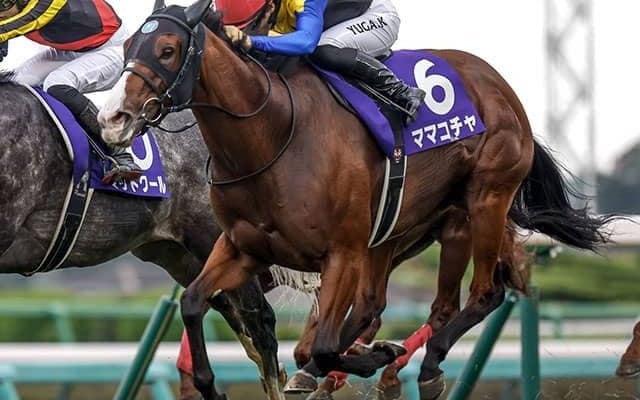 【スプリンターズS結果】ママコチャが接戦制しGI初制覇！