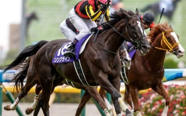 【毎日王冠】ソングライン、シュネルマイスターらが登録