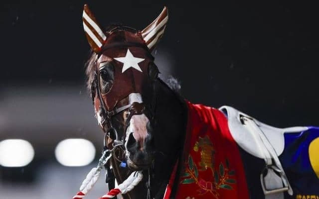 【盛岡・ダービーグランプリ結果】南関東3冠馬ミックファイアが無傷7連勝！ ベルピットとの三冠馬対決制す