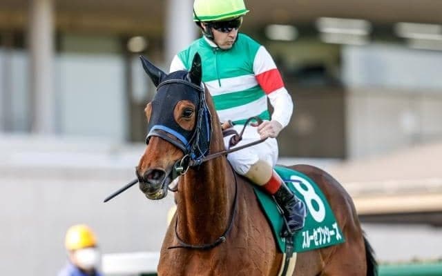 凱旋門賞の国内外オッズ比較 スルーセブンシーズは国内2番人気、海外7番人気