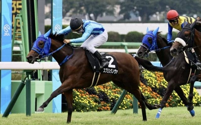 【サフラン賞】カリフォルニアクローム産駒 スプリングノヴァがデビュー2連勝