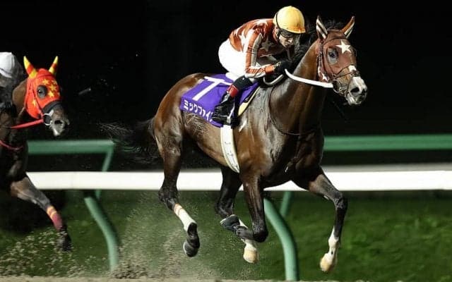 【ダービーグランプリ】無敗の三冠馬ミックファイアが苦しみながらも秋初戦をV…無傷の7連勝