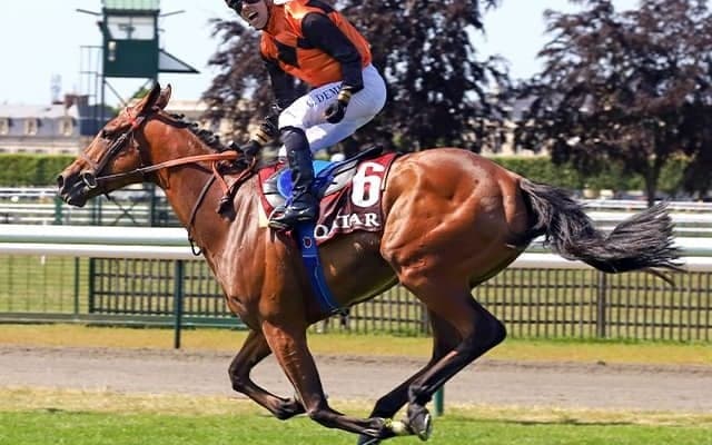 【凱旋門賞結果】6戦無敗でエースインパクトが優勝！日本のスルーセブンシーズは4着