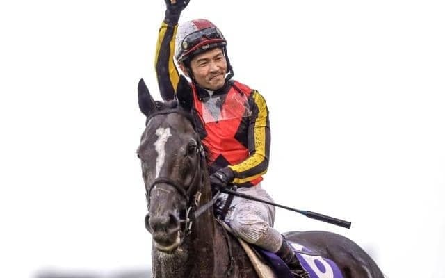 3日間開催のJRAでは毎日王冠など 盛岡でJpnIマイルCS南部杯/今週の競馬界の見どころ