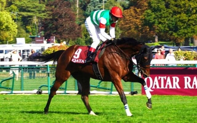 【凱旋門賞】尾関師「素晴らしいポテンシャルを持った牝馬」スルーセブンシーズは惜しくも4着