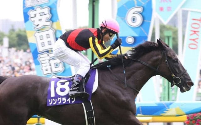 【毎日王冠登録馬】ソングラインなど13頭