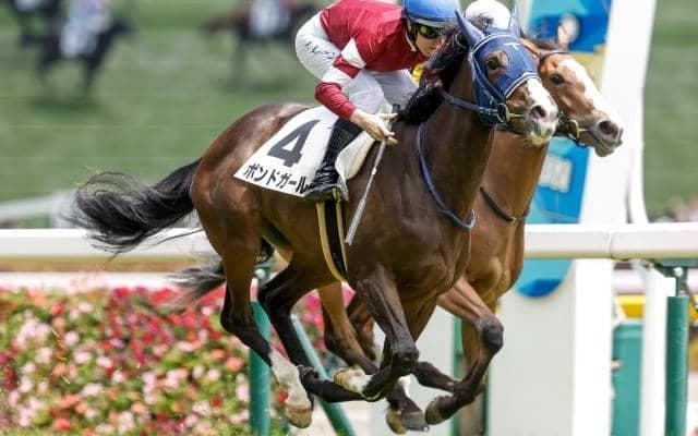 【サウジアラビアRC見どころ】ダノンベルーガの妹ボンドガールと新馬圧勝のシュトラウスが激突