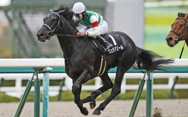 【京都大賞典見どころ】昨年のJC覇者ヴェラアズールが連覇を狙う