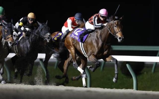 【レディスプレリュード枠順】JpnI馬ヴァレーデラルナは8枠10番、重賞8勝馬スピーディキックは3枠3番