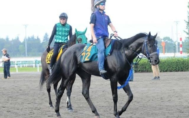 ユーバーレーベンの半弟マイネルレグルス 「お姉ちゃんに似た感じも」/関東馬メイクデビュー情報