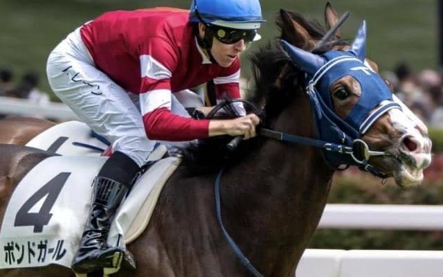 サイバー藤田晋社長所有の2億超ホース サウジアラビアRCでキャリア1戦での重賞挑戦