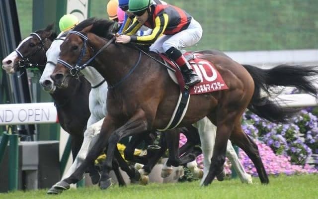 【毎日王冠予想オッズ】シュネルマイスターが予想1番人気