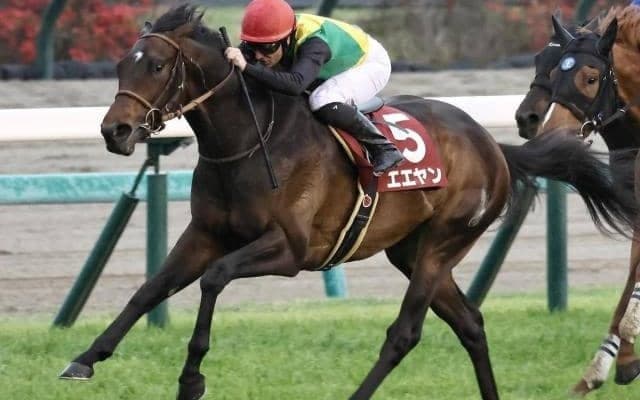 毎日王冠は3歳馬が出走機会3連勝中！ 今年は重賞ウイナー2頭が参戦