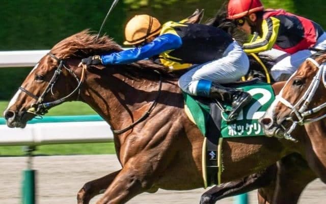 ママコチャに続け！ 池江厩舎×金子真人オーナーの古豪が京都大賞典参戦