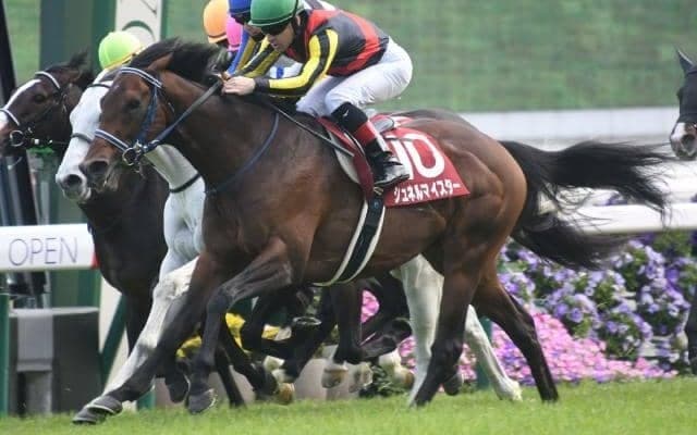 【毎日王冠展望】高速決着になりやすくマイラータイプが台頭するレース