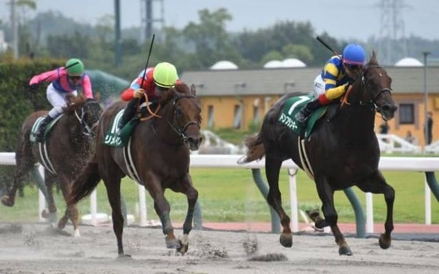 JBCスプリントに向け実力拮抗の好メンバーが集結/大井・東京盃注目馬