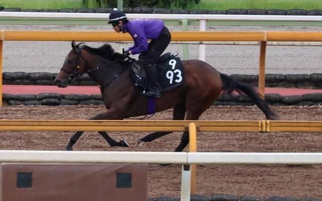 フレミングフープなど、先週の入厩情報/栗東トレセンニュース