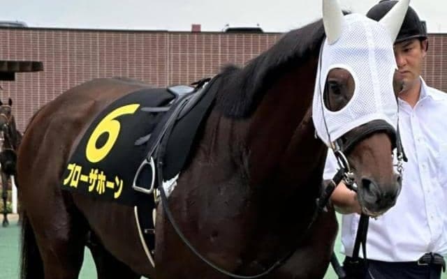 前走は6馬身差の圧勝劇 充実一途のブローザホーンが京都大賞典参戦