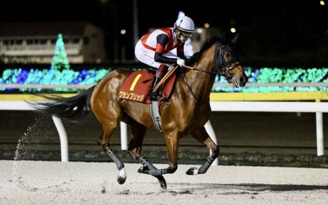 【レディスプレリュード】グランブリッジは2枠2番