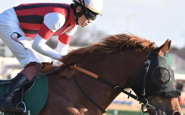 東京新聞杯覇者が重賞3勝目へ カギは2年10カ月ぶりの1800m