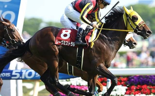 レーヴミストラルが11歳で死す 15年青葉賞など重賞2勝