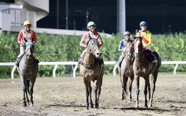 【東京盃】藤岡康「休み明けは動ききれないところがある」ケイアイドリーは9着敗退