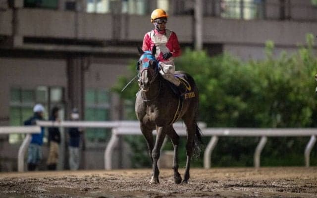 【東京盃】武豊「忙しかった」ヘリオスは6着敗退