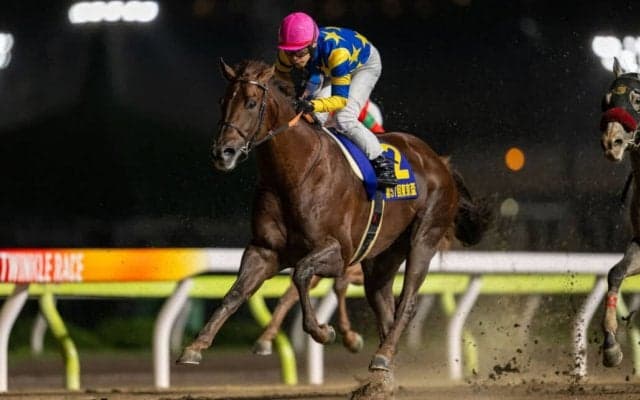 【東京盃】斉藤崇師「（次走は）しばらく空けて来年くらい」ドンフランキーが断然の支持に応える