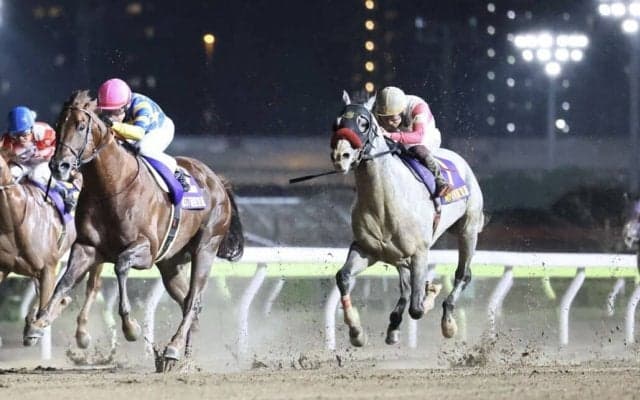 【東京盃】横山武「よく頑張った」レース後ジョッキーコメント