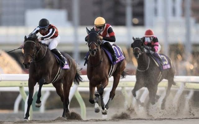 牝馬ダート戦線で活躍目覚ましい4歳世代 今回も上位独占なるか/大井・レディスプレリュード注目馬