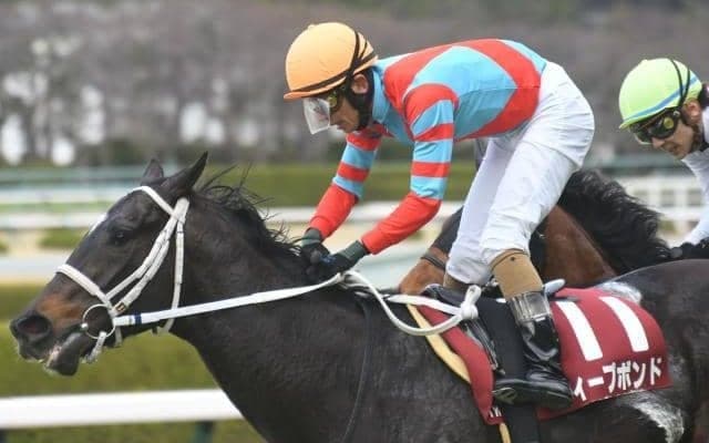 【京都大賞典出走馬・騎手確定】ディープボンド＆和田竜二騎手、ヒートオンビート＆川田将雅騎手など14頭