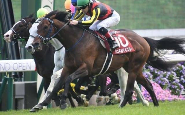 【毎日王冠出走馬・騎手確定】シュネルマイスター＆C.ルメール騎手、ソングライン＆戸崎圭太騎手など12頭